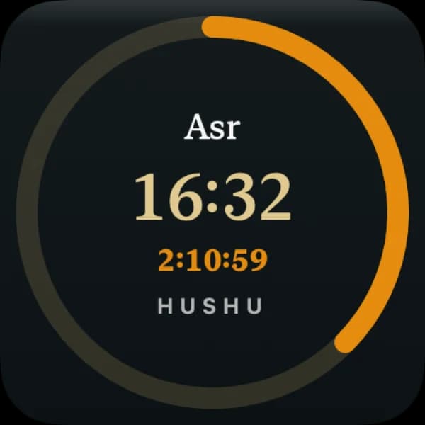 HUSHU — Widget — klein