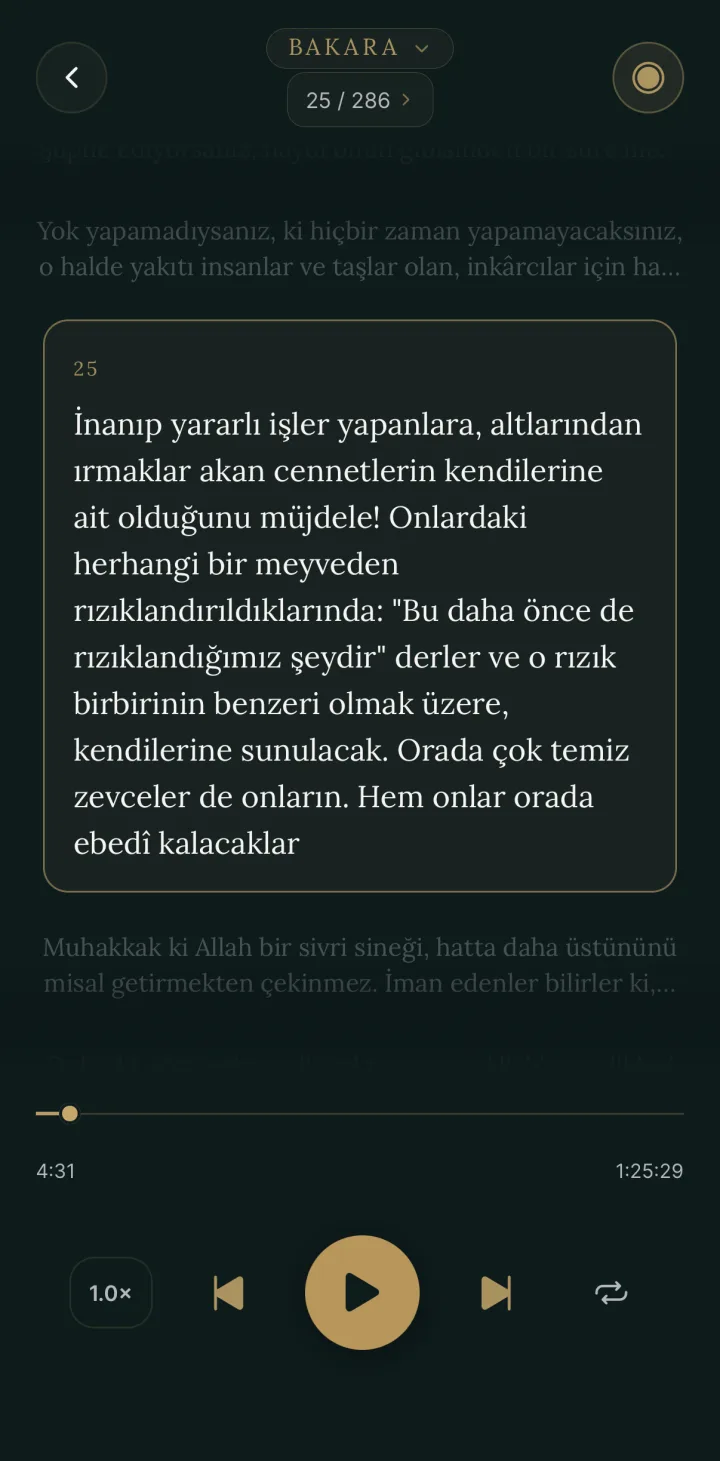 HUSHU — Uygulama