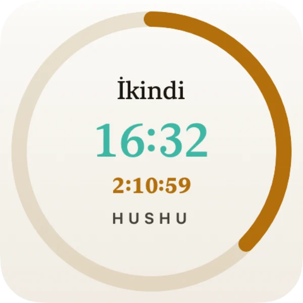 HUSHU — Widget — küçük
